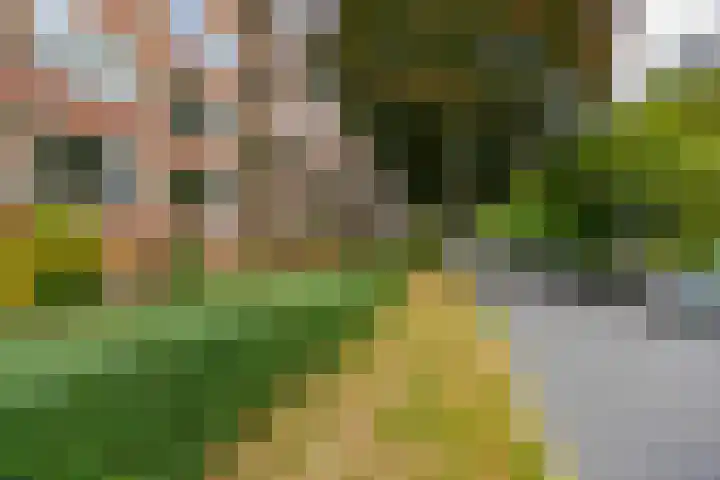 Wenckebachlaan 9 Groningen thumbnail 24