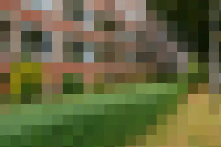 Wenckebachlaan 9 Groningen thumbnail 25