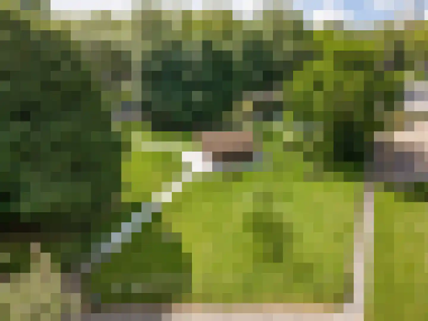 Wenckebachplantsoen 112 Nieuwegein thumbnail 33