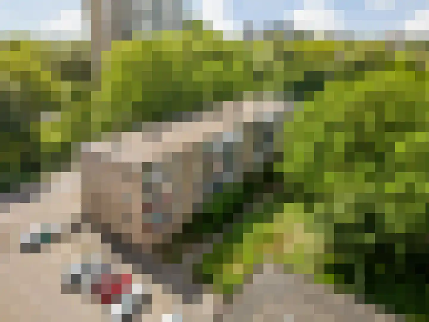 Wenckebachplantsoen 112 Nieuwegein thumbnail 34