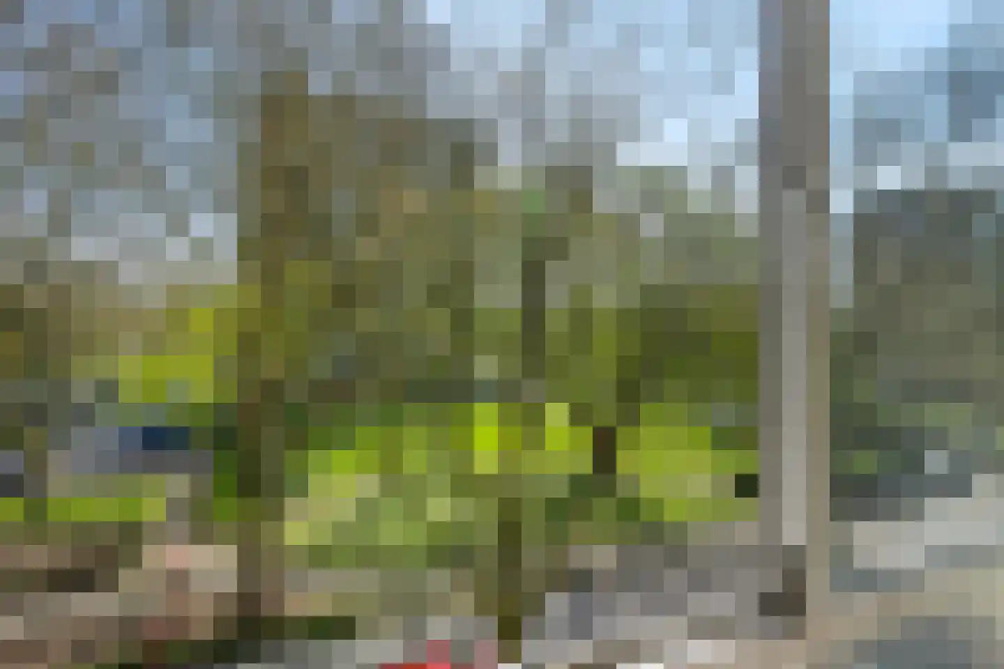 Wenckebachplantsoen 34 Nieuwegein thumbnail 19