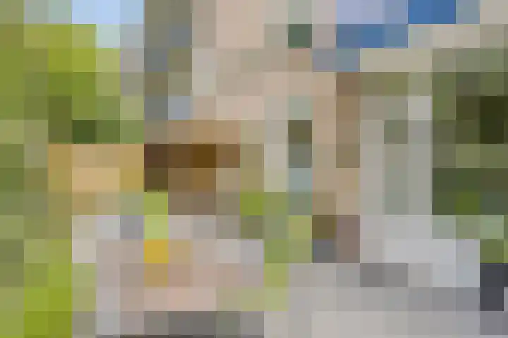 Wenckebachplantsoen 36 Nieuwegein thumbnail 21