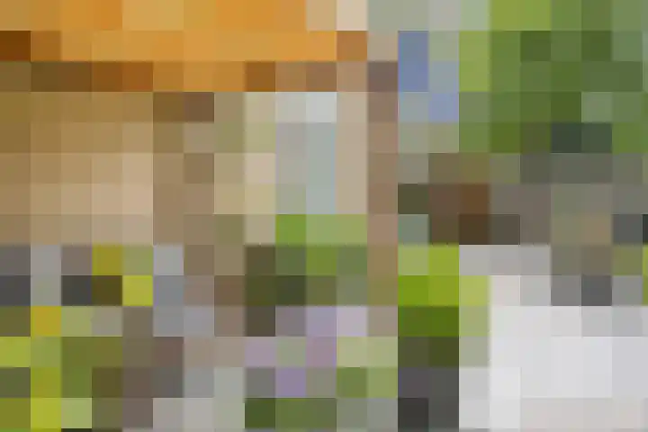 Wenckebachplantsoen 36 Nieuwegein thumbnail 23