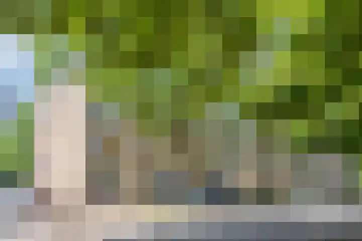 Wenckebachplantsoen 36 Nieuwegein thumbnail 26