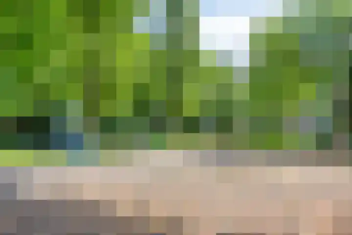 Wenckebachplantsoen 36 Nieuwegein thumbnail 28