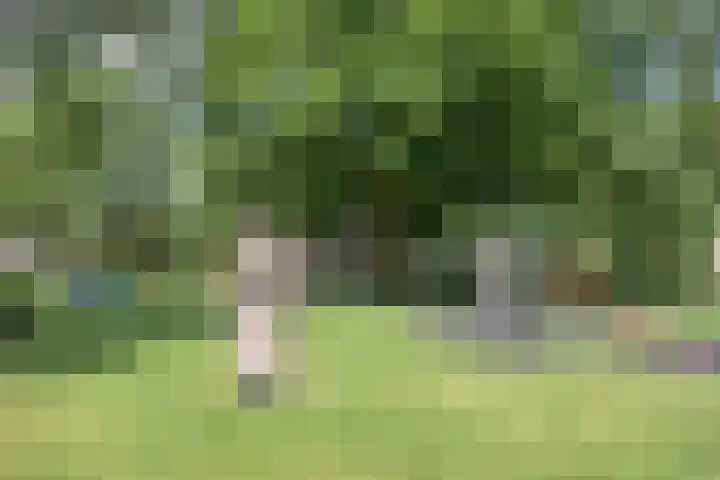 Wenckebachplantsoen 36 Nieuwegein thumbnail 29