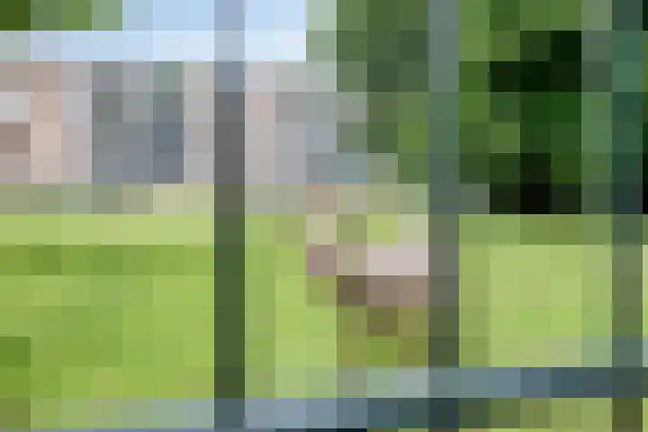 Wenckebachplantsoen 36 Nieuwegein thumbnail 30