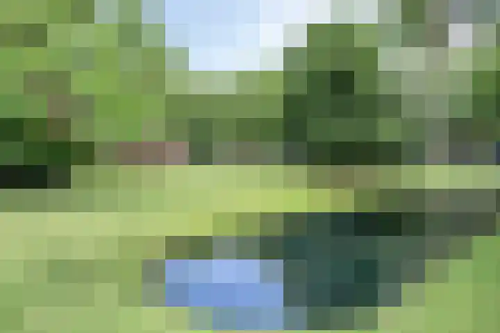 Wenckebachplantsoen 36 Nieuwegein thumbnail 31