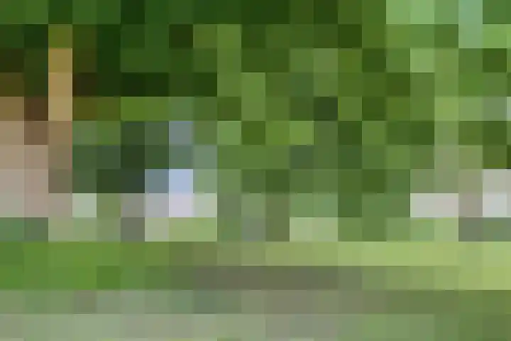 Wenckebachplantsoen 36 Nieuwegein thumbnail 32