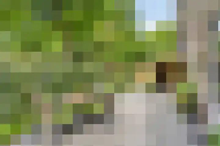 Wenckebachplantsoen 36 Nieuwegein thumbnail 4