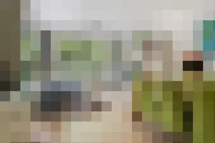 Wenckebachplantsoen 36 Nieuwegein thumbnail 7