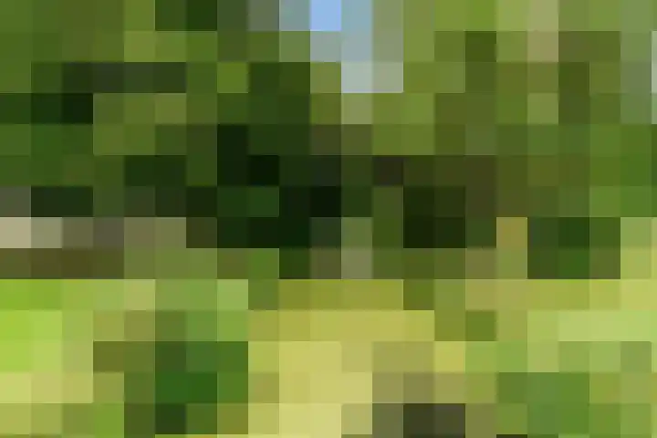 Wenckebachplantsoen 49 Nieuwegein thumbnail 31