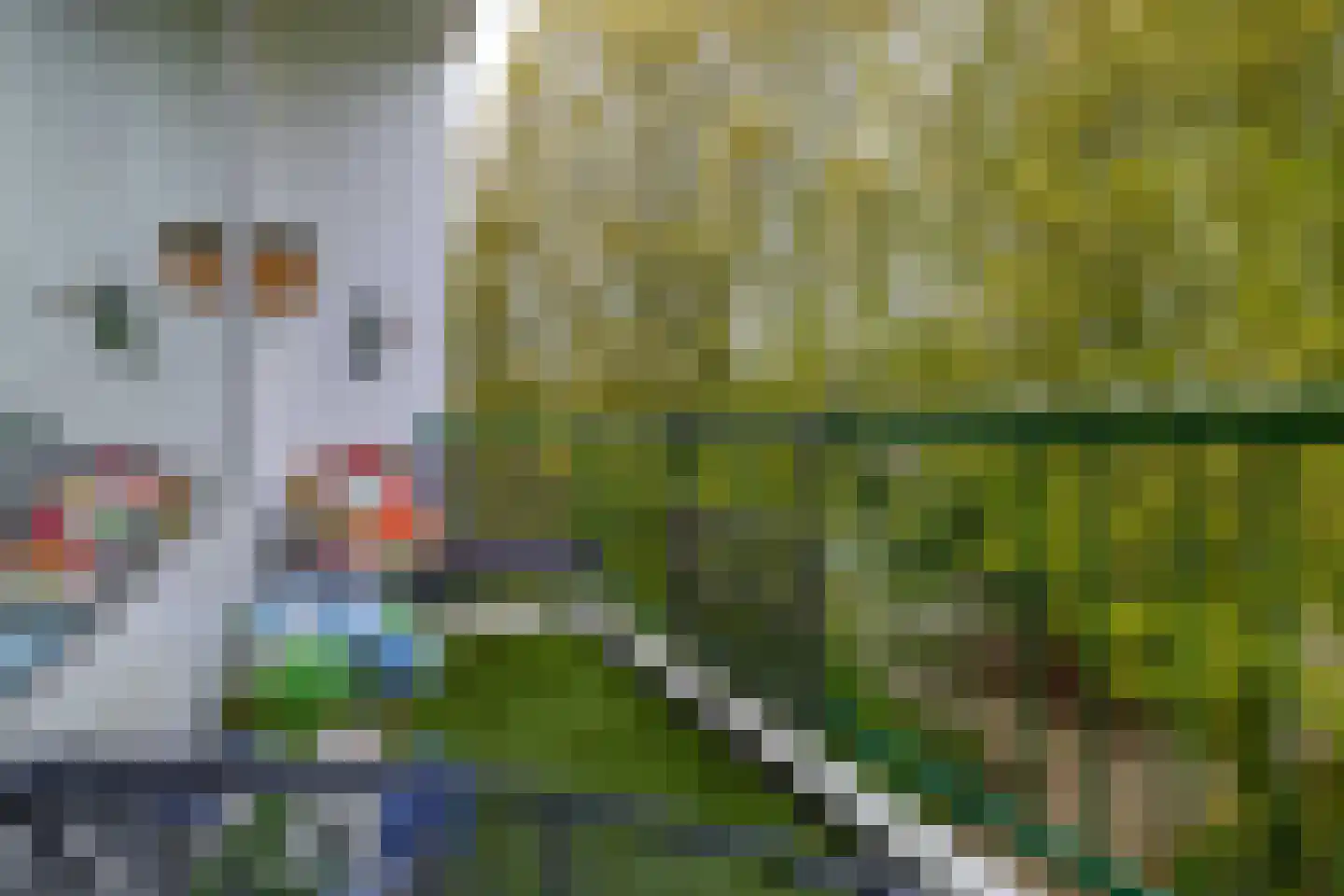 Wenckebachplantsoen 84 Nieuwegein thumbnail 31