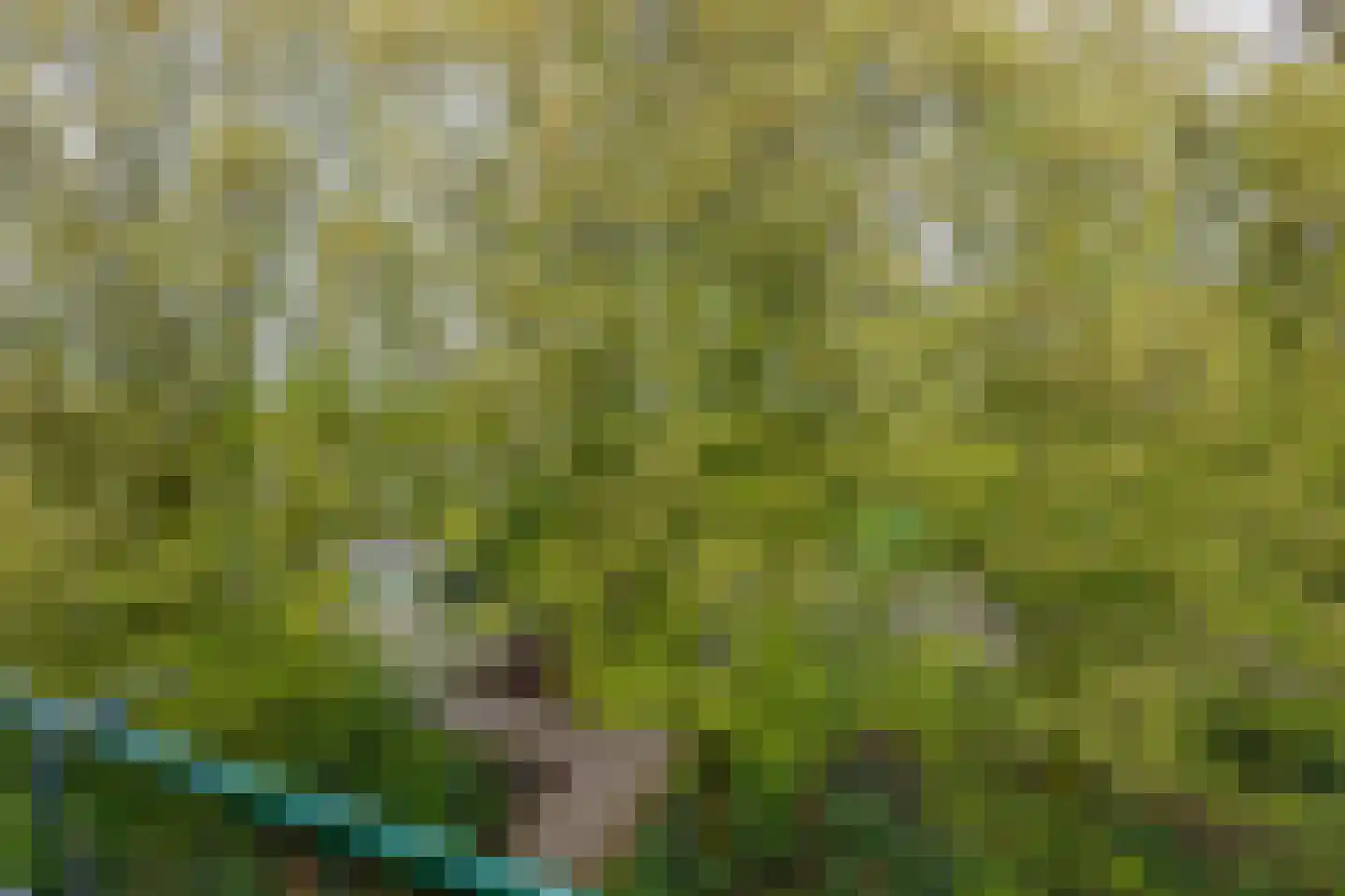 Wenckebachplantsoen 84 Nieuwegein thumbnail 33