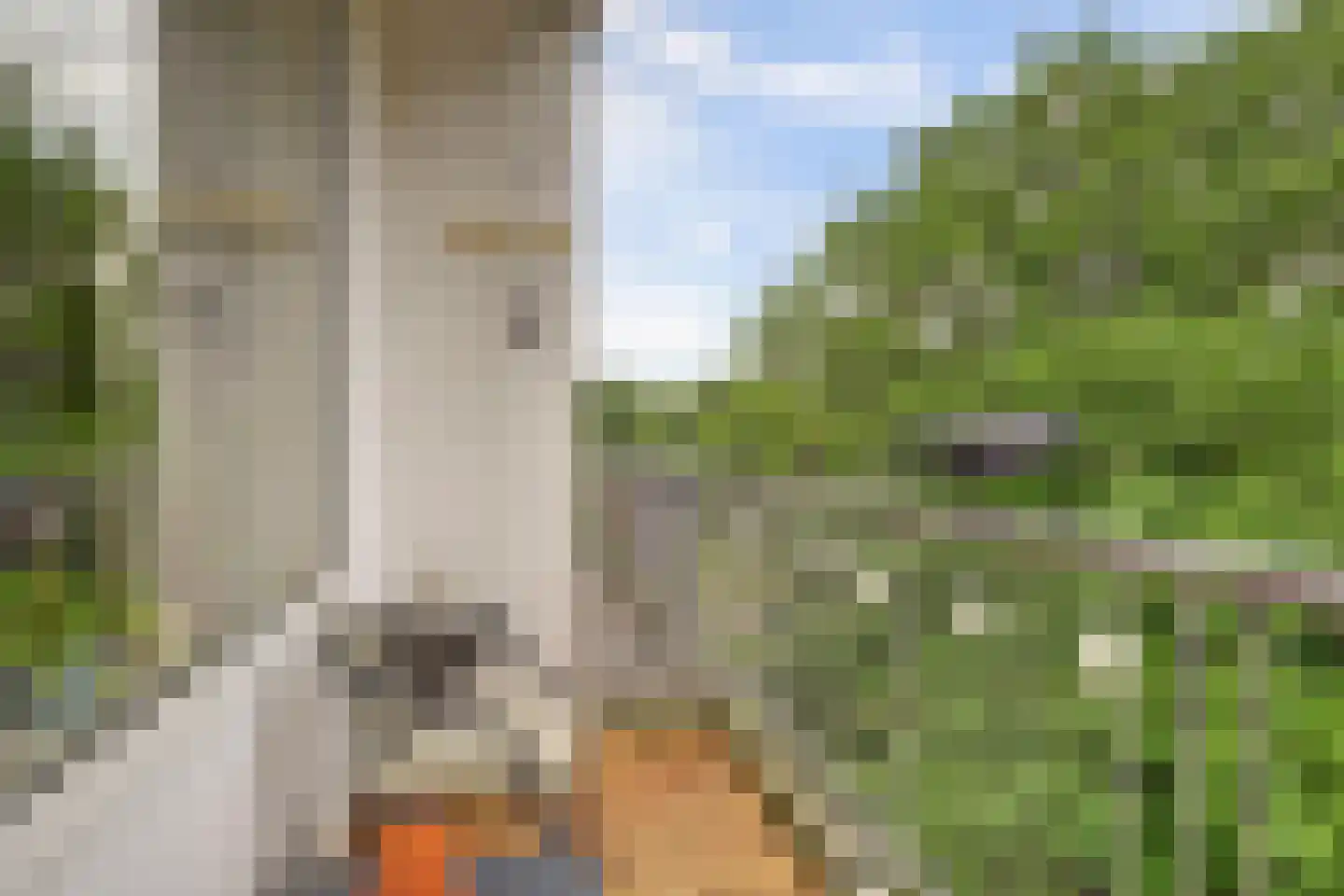 Wenckebachplantsoen 98 Nieuwegein thumbnail 7