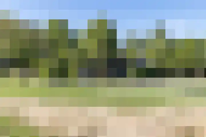 Wenckebachstraat 12 Brunssum thumbnail 61