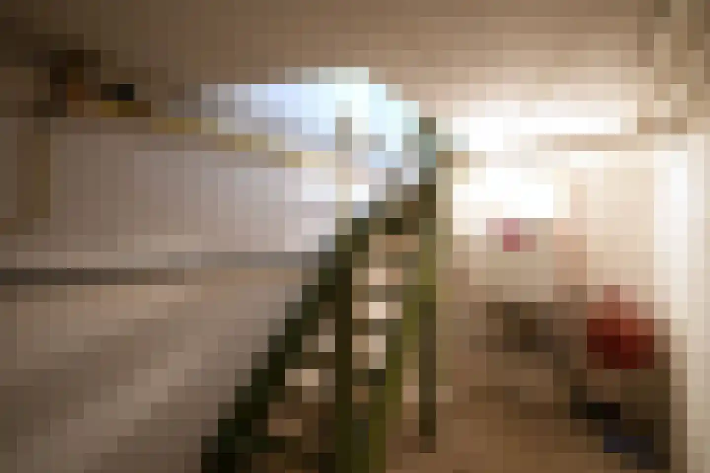 Wenckebachstraat 17 Geleen thumbnail 10