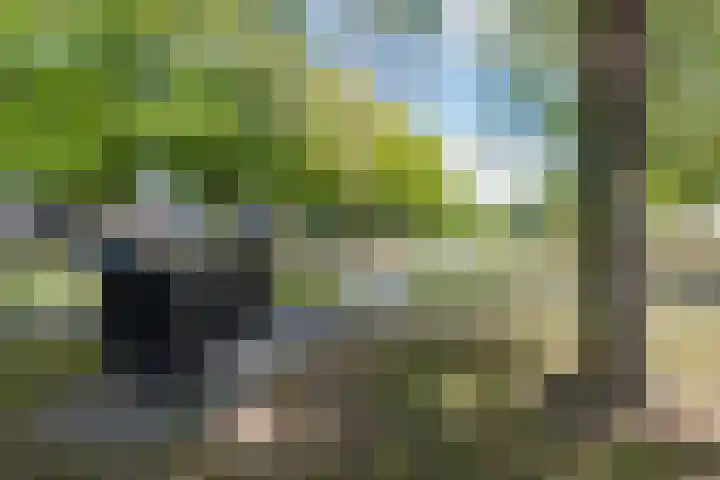 Wenckebachstraat 24 Brunssum thumbnail 33