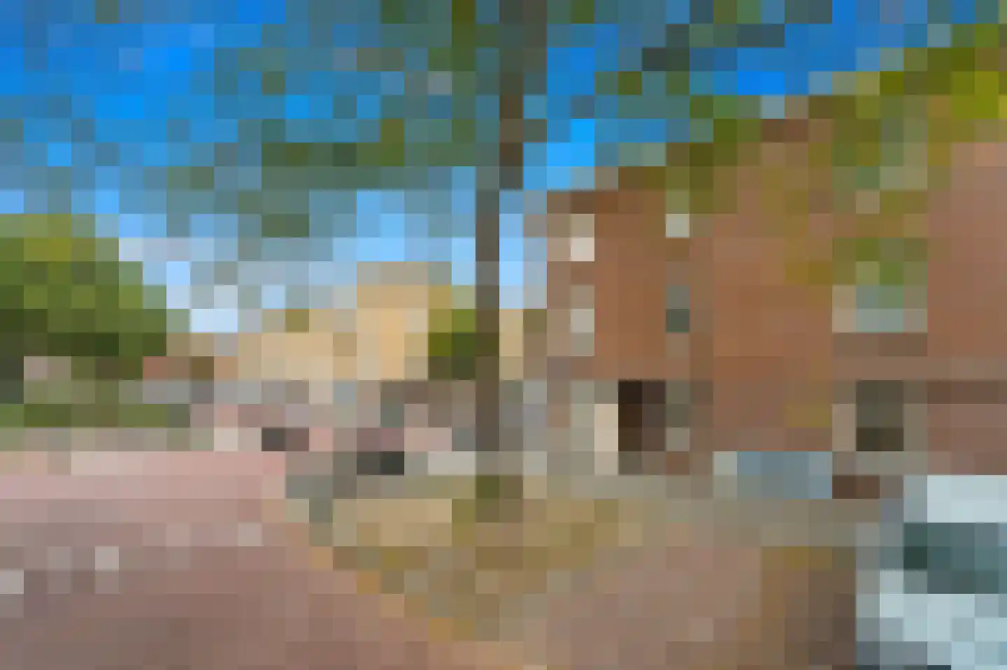Wenckebachstraat 67 Den Haag thumbnail 25