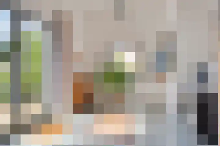 Wenckenbachstraat 30 Eindhoven thumbnail 15