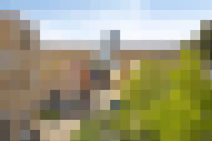 Wenckenbachstraat 30 Eindhoven thumbnail 6