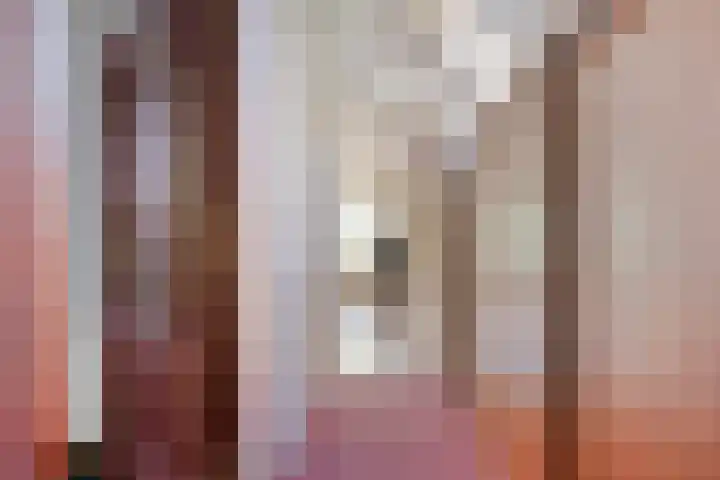 Wencopperweg 47 Barneveld thumbnail 24
