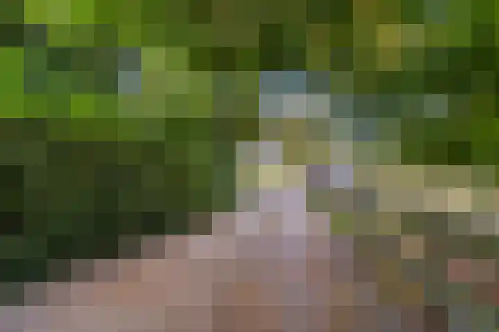 Wencopperweg 47 Barneveld thumbnail 31