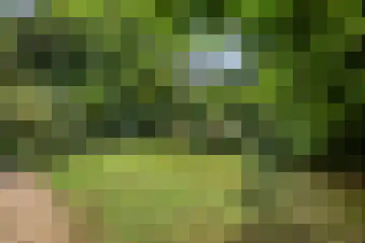 Wencopperweg 47 Barneveld thumbnail 32
