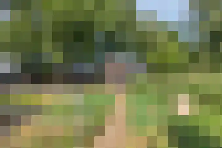 Wencopperweg 47 Barneveld thumbnail 34