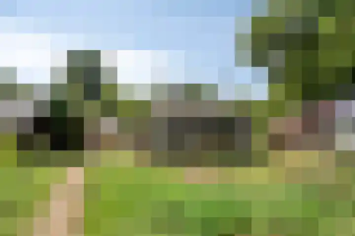 Wencopperweg 47 Barneveld thumbnail 35