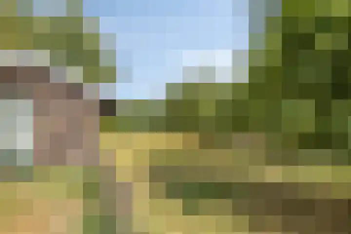 Wencopperweg 47 Barneveld thumbnail 37