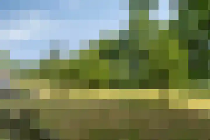 Wencopperweg 47 Barneveld thumbnail 38