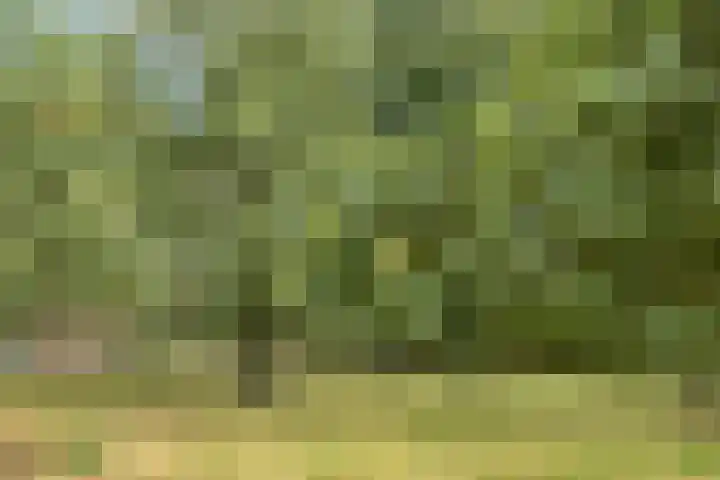 Wencopperweg 47 Barneveld thumbnail 39