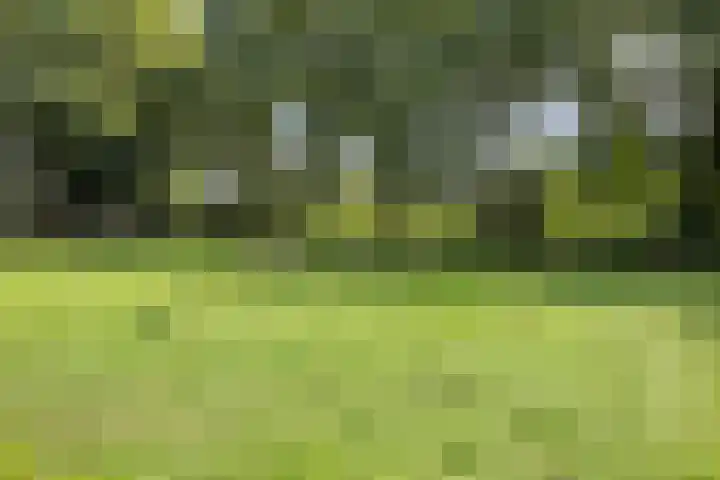 Wencopperweg 47 Barneveld thumbnail 40