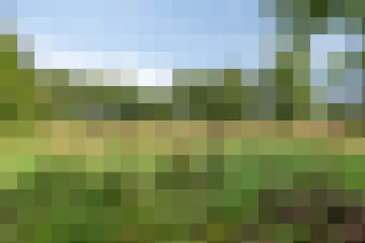 Wencopperweg 47 Barneveld thumbnail 41