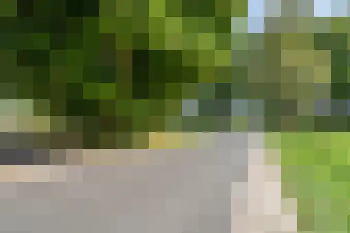 Wencopperweg 47 Barneveld thumbnail 42