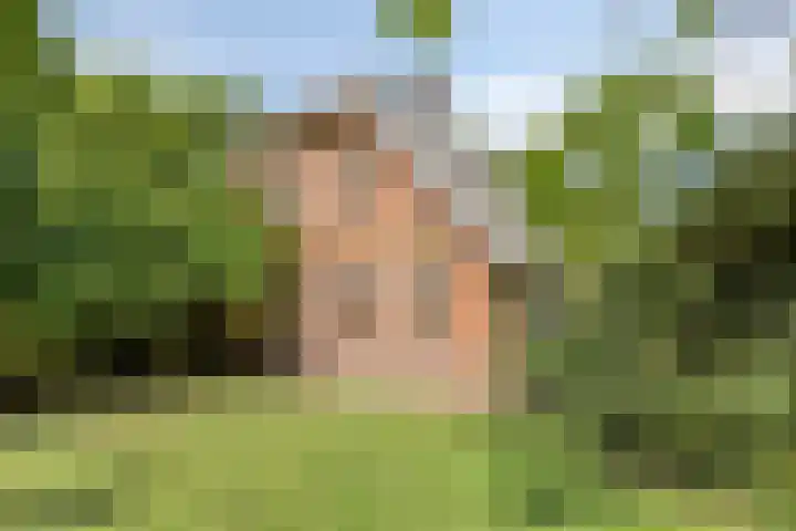 Wencopperweg 47 Barneveld thumbnail 52