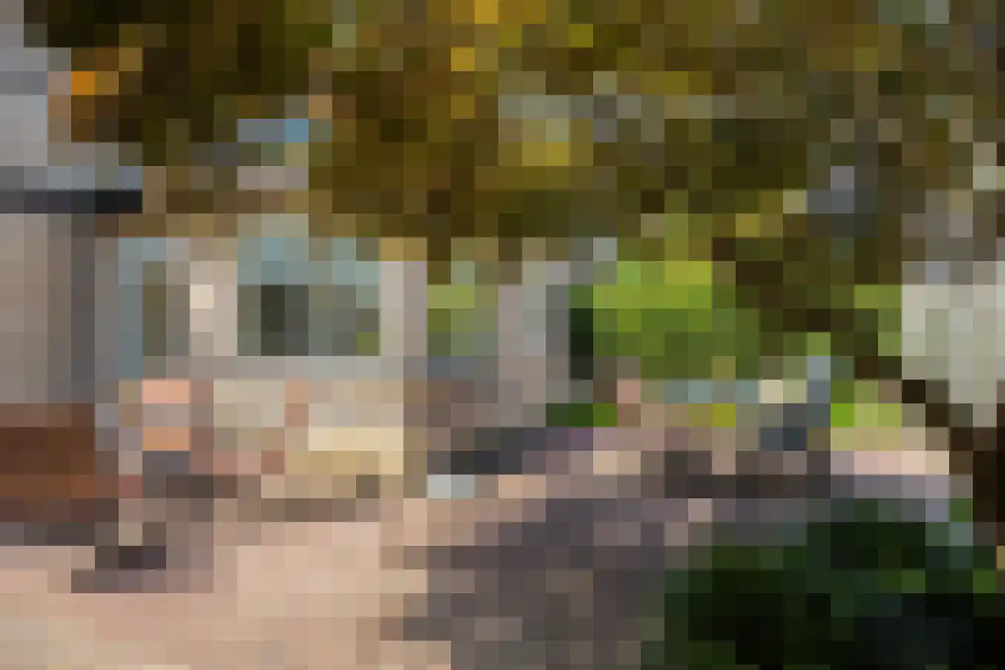 Wendakker 140 Oss thumbnail 34