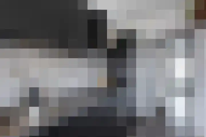 Wendakker 16 Steenwijk thumbnail 14