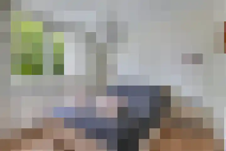 Wendakker 16 Steenwijk thumbnail 18
