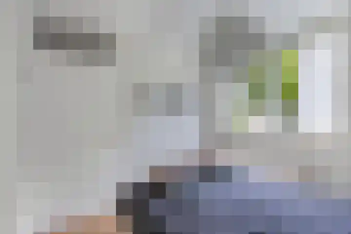 Wendakker 16 Steenwijk thumbnail 19