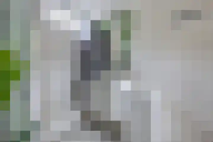 Wendakker 16 Steenwijk thumbnail 21