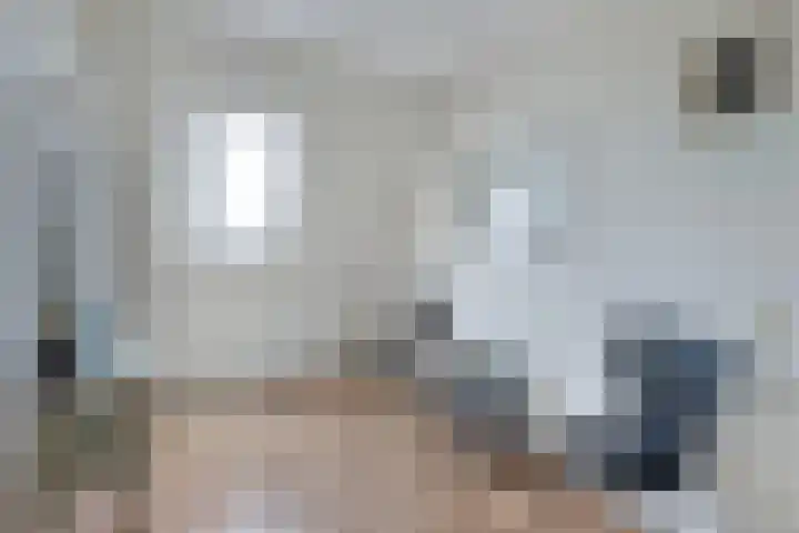 Wendakker 16 Steenwijk thumbnail 24