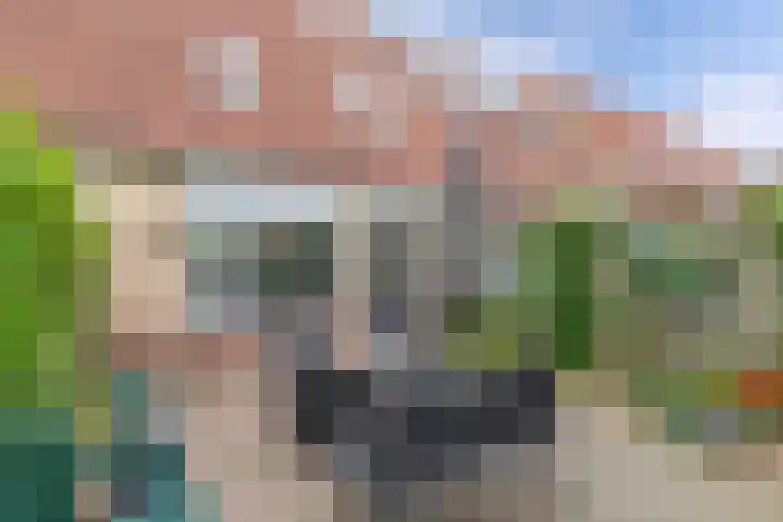 Wendakker 16 Steenwijk thumbnail 28