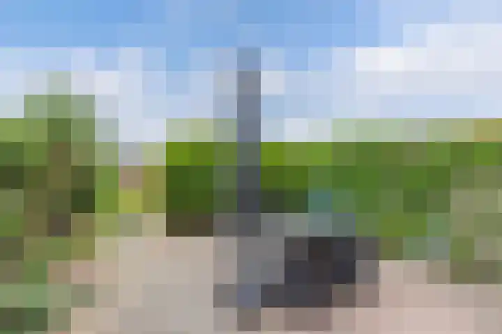 Wendakker 16 Steenwijk thumbnail 29