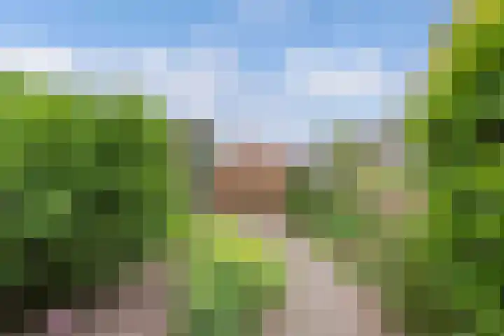 Wendakker 16 Steenwijk thumbnail 31