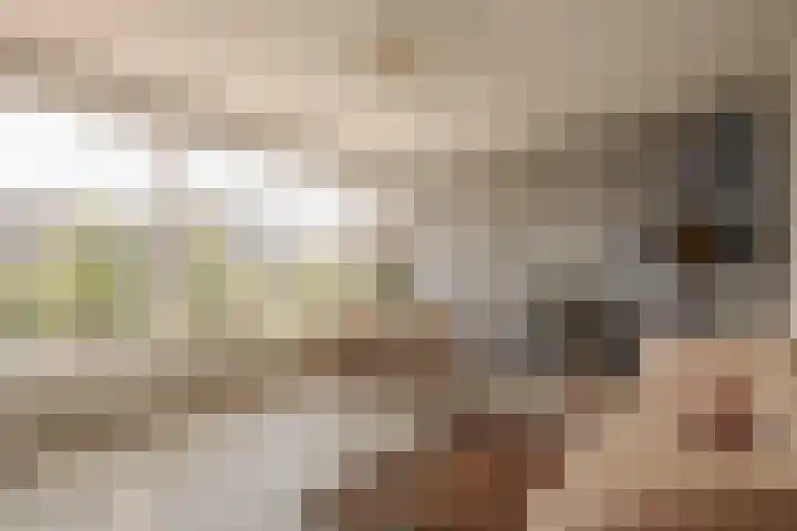 Wendakker 16 Steenwijk thumbnail 32