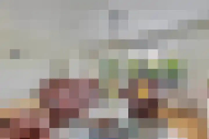 Wendakker 16 Steenwijk thumbnail 7