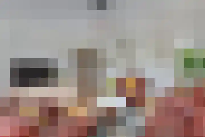 Wendakker 16 Steenwijk thumbnail 9