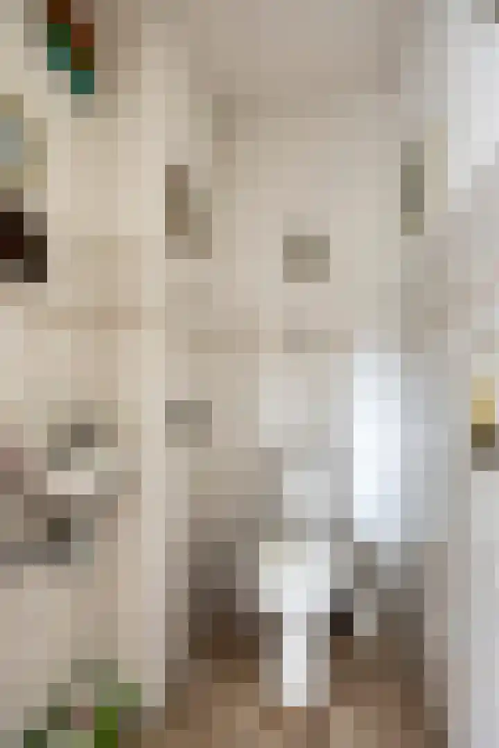 Wendakker 20 Nagele thumbnail 11